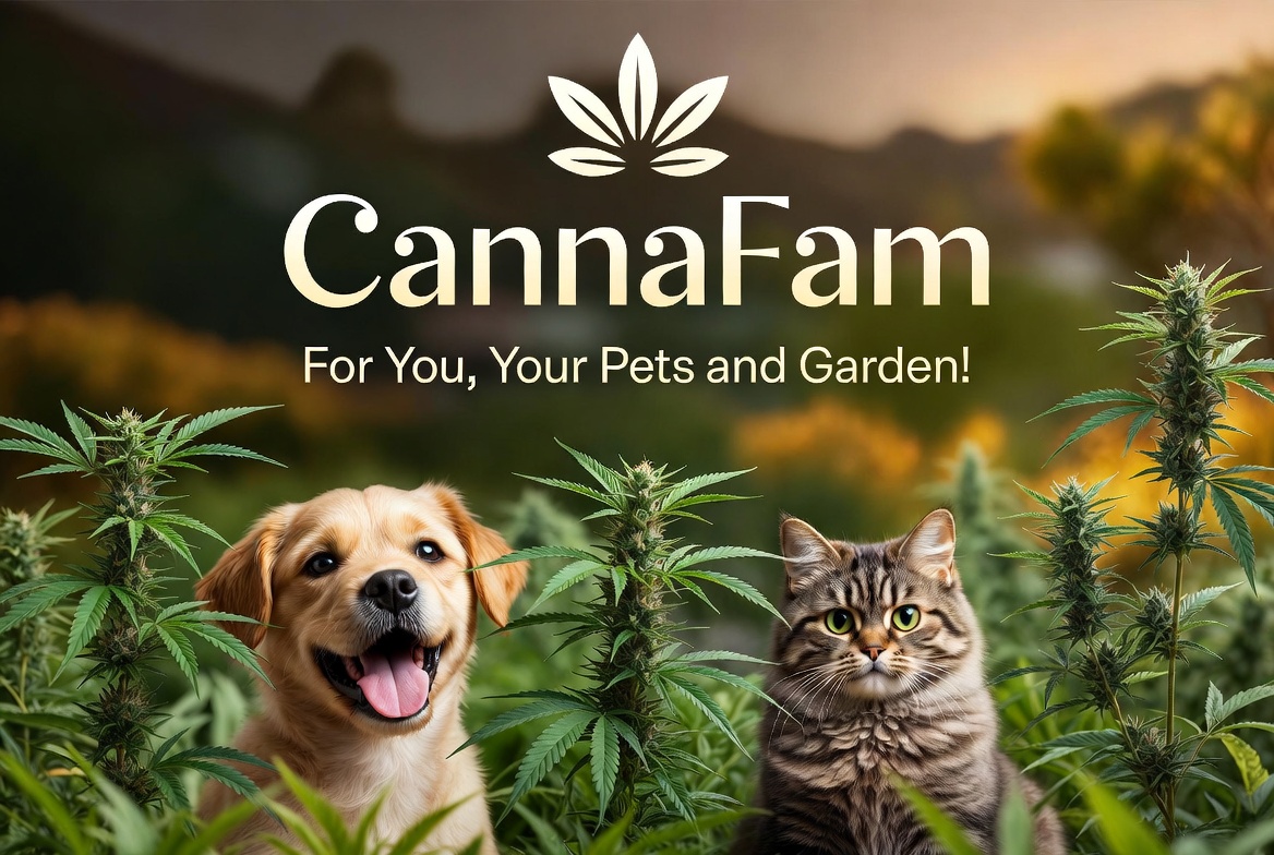 Pick of the Month: A Staff Visit to Cannafam’s Online Store and Social Club Experience